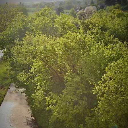 U Zlate Brany Cesky Raj Wellness Pensjonat 4*