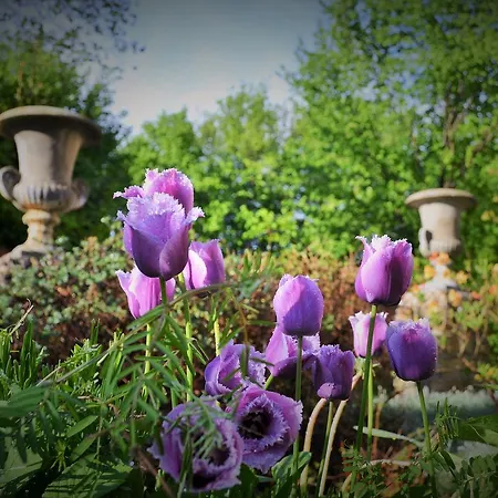 U Zlate Brany Cesky Raj Wellness 4* Libuň