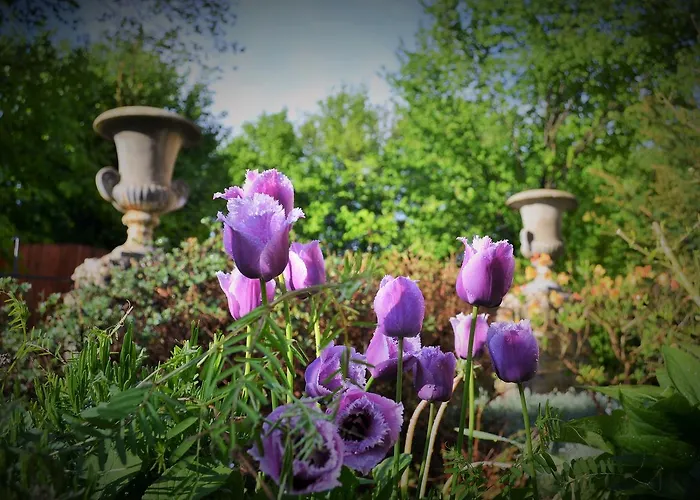 U Zlate Brany Cesky Raj Wellness 4* Libuň